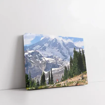 Mount Rainier Glacier Hikers Pine Trees