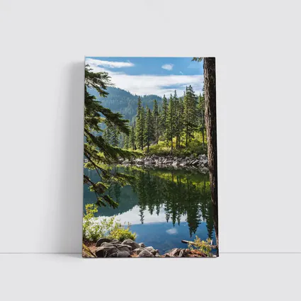 Alpine Lake Reflecting Pine Forest Mountains
