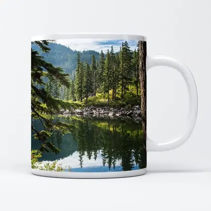 Alpine Lake Reflecting Pine Forest Mountains