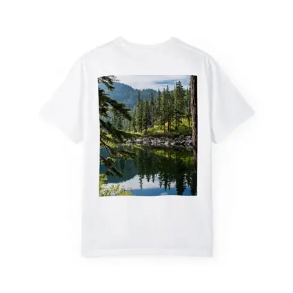 Alpine Lake Reflecting Pine Forest Mountains