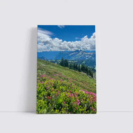 Alpine Wildflowers Meadow Mountain Landscape View