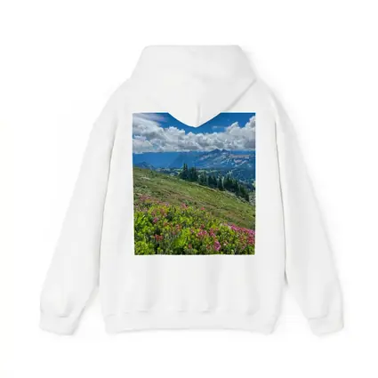 Alpine Wildflowers Meadow Mountain Landscape View