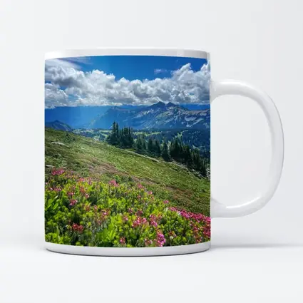 Alpine Wildflowers Meadow Mountain Landscape View