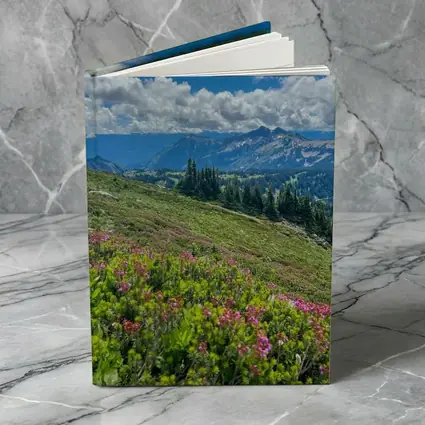 Alpine Wildflowers Meadow Mountain Landscape View