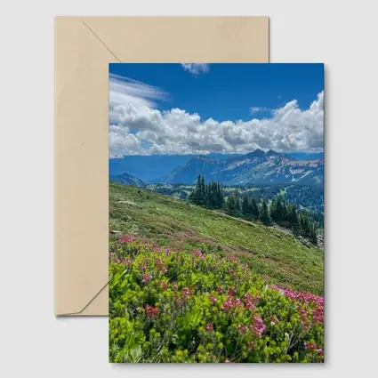 Alpine Wildflowers Meadow Mountain Landscape View