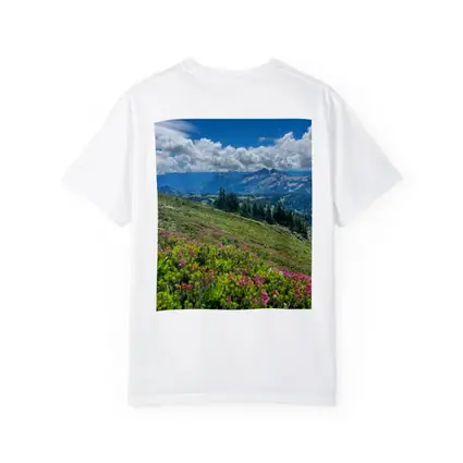 Alpine Wildflowers Meadow Mountain Landscape View