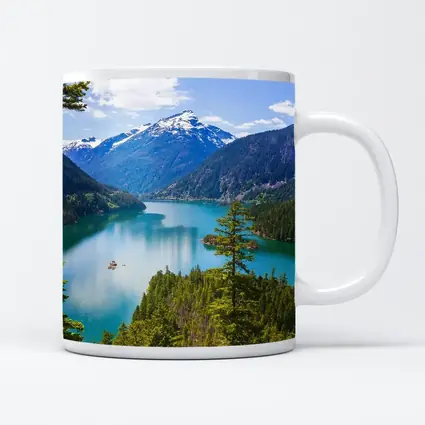 Turquoise Mountain Lake Forest Aerial View