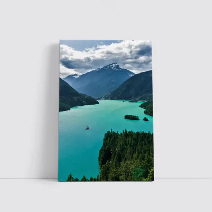 Turquoise Mountain Lake Forest Aerial View