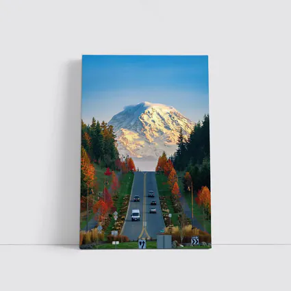 Mount Rainier Road Autumn Trees Washington