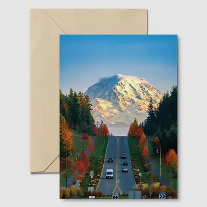 Mount Rainier Road Autumn Trees Washington