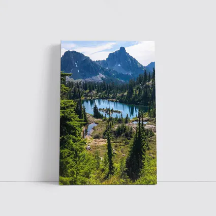 Alpine Lake Mountains Pine Forest Landscape