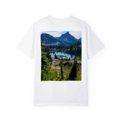 Alpine Lake Mountains Pine Forest Landscape