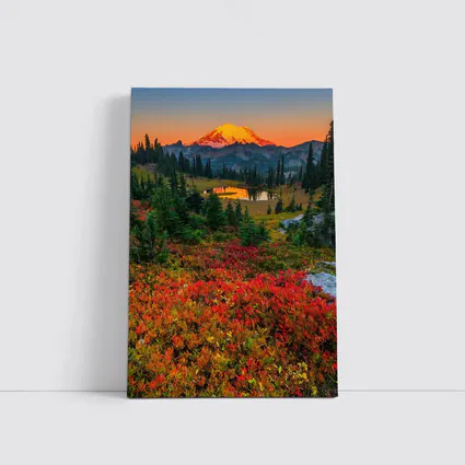Mount Rainier Autumn Sunset Alpine Meadow