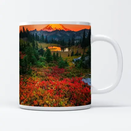 Mount Rainier Autumn Sunset Alpine Meadow