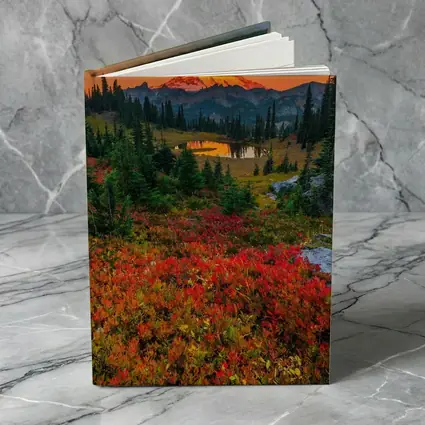 Mount Rainier Autumn Sunset Alpine Meadow