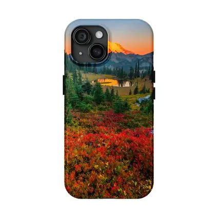 Mount Rainier Autumn Sunset Alpine Meadow
