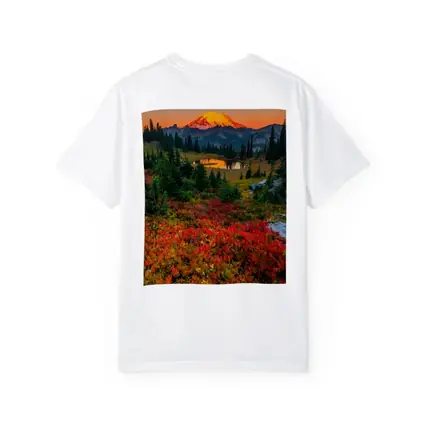 Mount Rainier Autumn Sunset Alpine Meadow