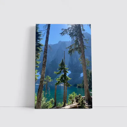 Alpine Lake Through Pine Trees Mountain