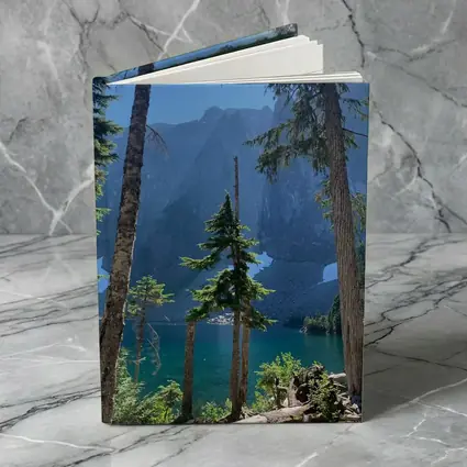 Alpine Lake Through Pine Trees Mountain