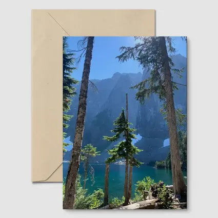 Alpine Lake Through Pine Trees Mountain