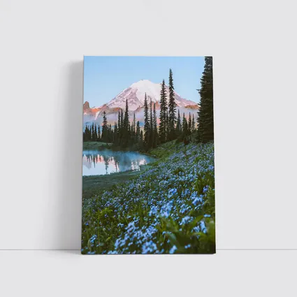 Mount Rainier Blue Wildflowers Alpine Lake