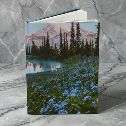 Mount Rainier Blue Wildflowers Alpine Lake