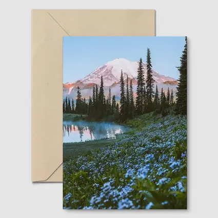 Mount Rainier Blue Wildflowers Alpine Lake