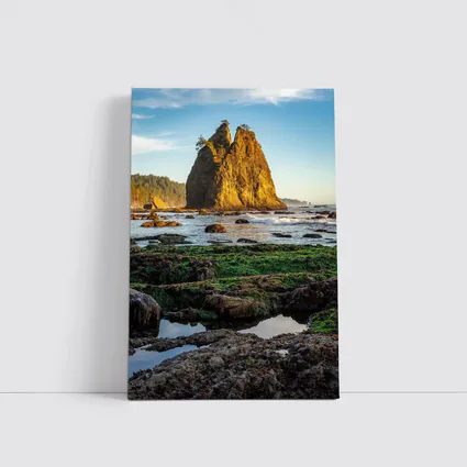 Sea Stack Rocky Coastal Beach Washington