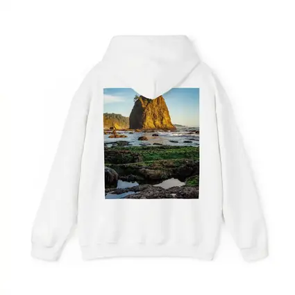 Sea Stack Rocky Coastal Beach Washington