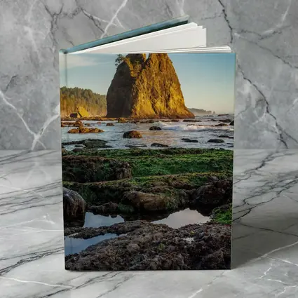 Sea Stack Rocky Coastal Beach Washington