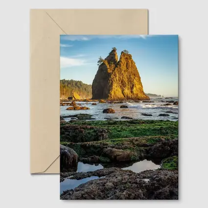 Sea Stack Rocky Coastal Beach Washington