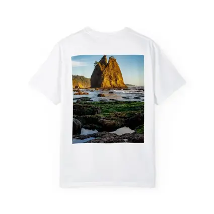 Sea Stack Rocky Coastal Beach Washington