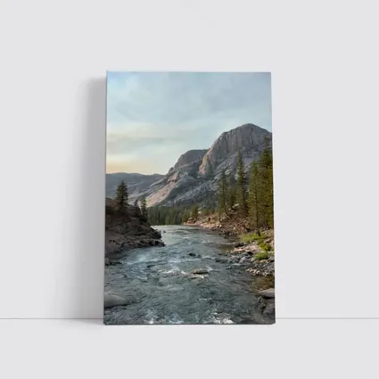 Mountain River Valley Pine Trees Landscape