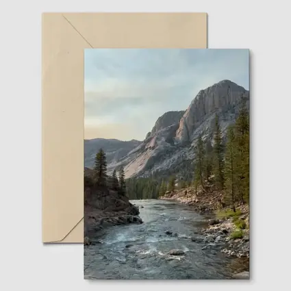Mountain River Valley Pine Trees Landscape