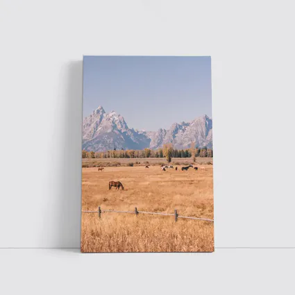 Horses Grazing Grand Teton Mountains Autumn