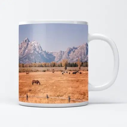Horses Grazing Grand Teton Mountains Autumn