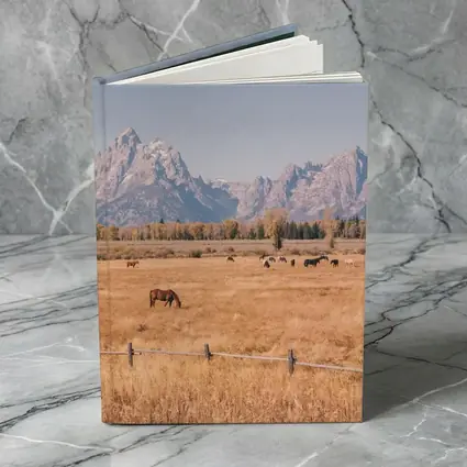 Horses Grazing Grand Teton Mountains Autumn