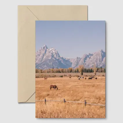 Horses Grazing Grand Teton Mountains Autumn