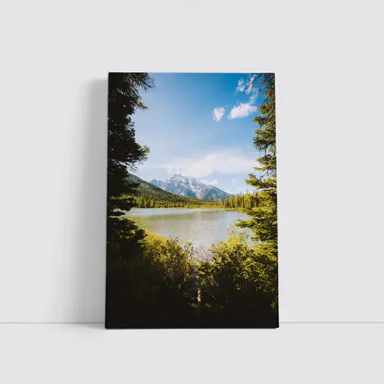 Mountain Lake View Through Pine Trees