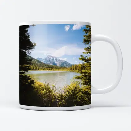 Mountain Lake View Through Pine Trees