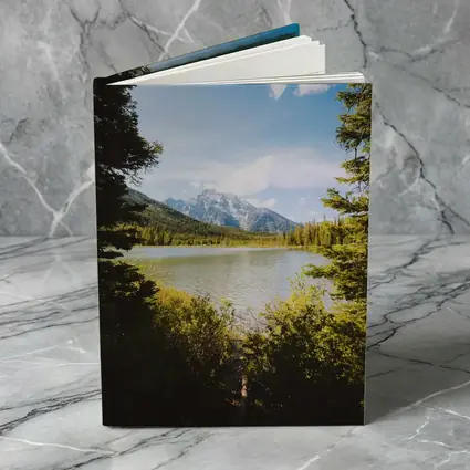 Mountain Lake View Through Pine Trees
