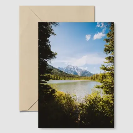 Mountain Lake View Through Pine Trees