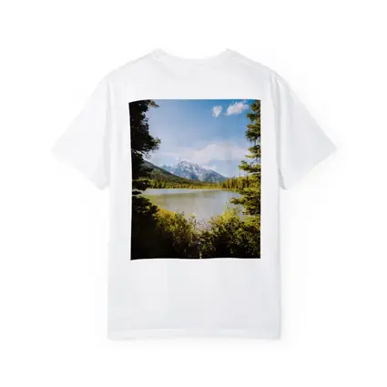 Mountain Lake View Through Pine Trees
