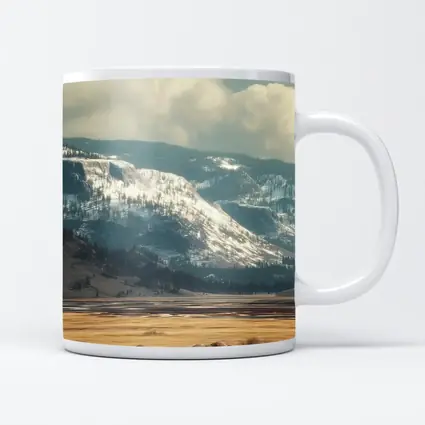 Two Elephants Walking Snowy Mountain Plains