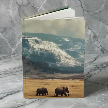 Two Elephants Walking Snowy Mountain Plains