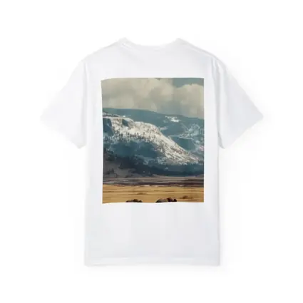 Two Elephants Walking Snowy Mountain Plains