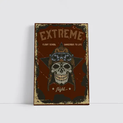Extreme Flight School Skull Pilot Helmet Art