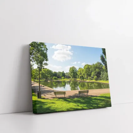 Sunny Park Pond With Green Trees