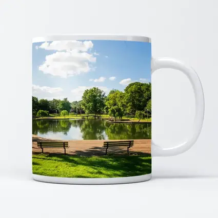 Sunny Park Pond With Green Trees