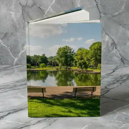 Sunny Park Pond With Green Trees